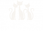 ralukiMedia-logo-white